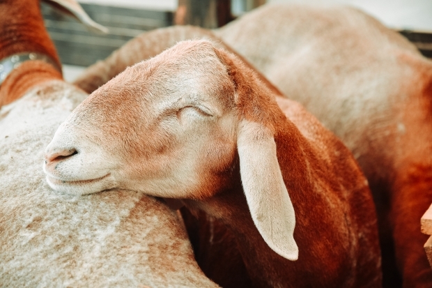 Волгоградская правда Волгоградская правда