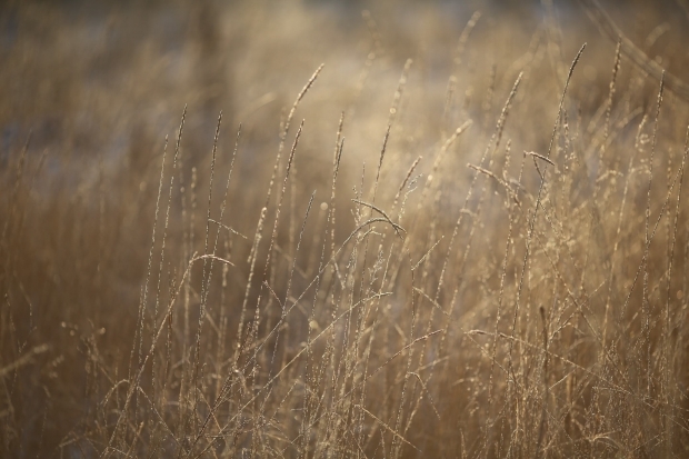 Волгоградская правда Волгоградская правда