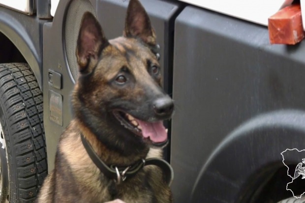 Волгоградская правда