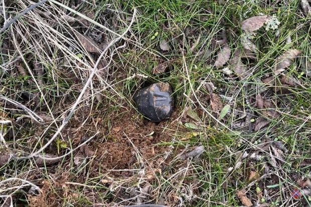 Волгоградская правда