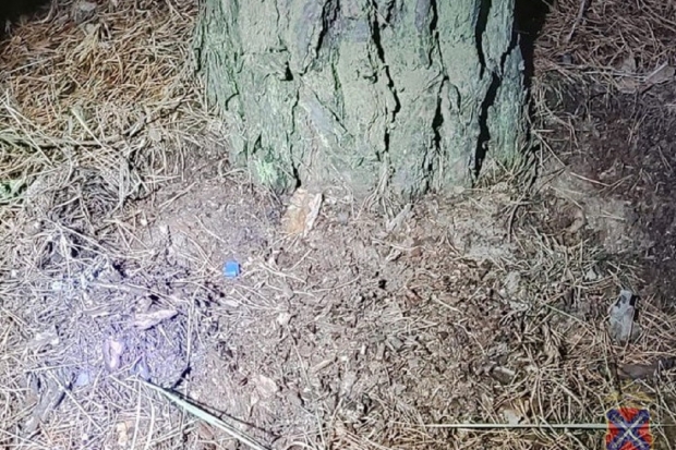 Волгоградская правда