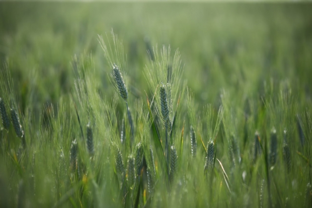 Волгоградская правда