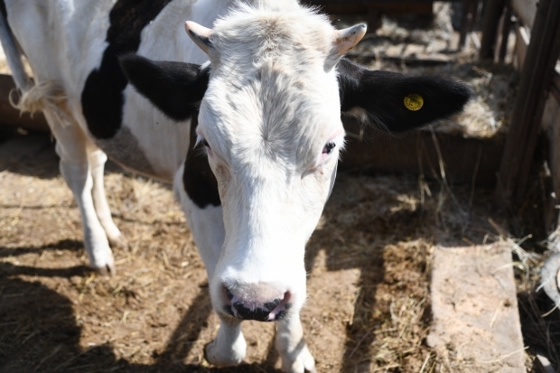 Волгоградская правда