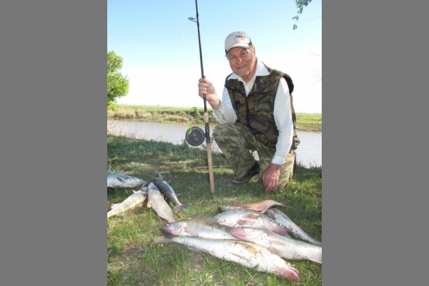 Ловить рыбу в мутной воде значение. Ловить рыбу в мутной воде значение