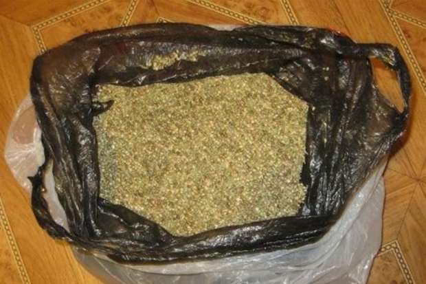питание для марихуаны питание для марихуаны