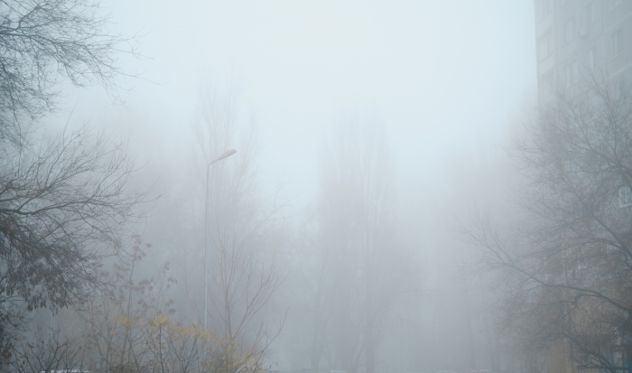 Волгоградская правда